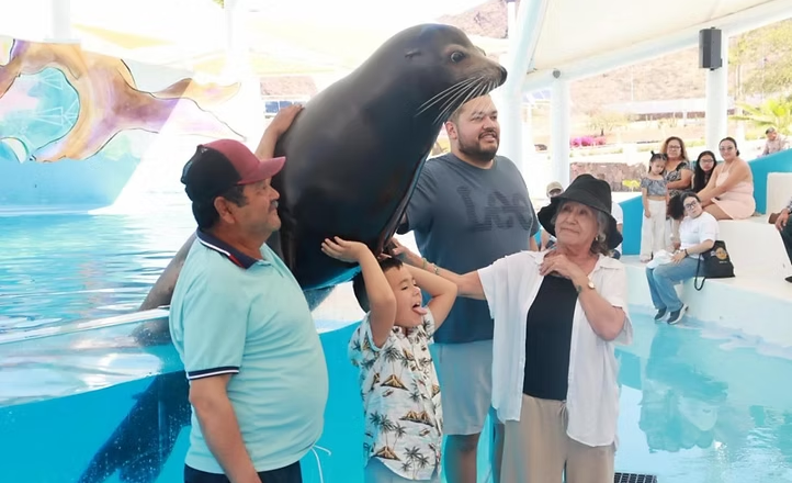 Gobierno de Sonora invita a disfrutar el Delfinario durante Semana Santa