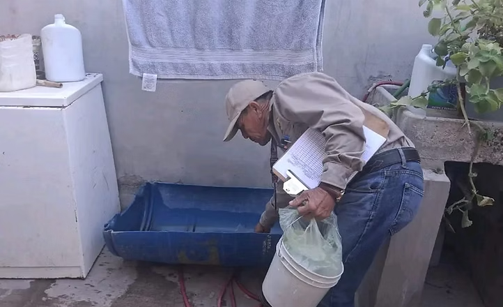 Exhorta Secretaría de Salud a mantener la limpieza del hogar para prevenir la rickettsia