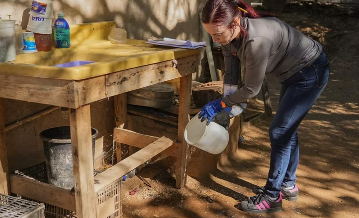 Llama Secretaría de Salud a limpiar patios para prevenir el dengue