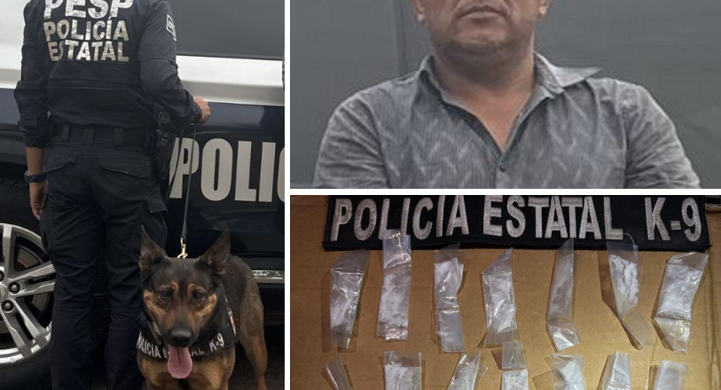 K-9 de la PESP consolida resultados en acciones de prevención y vigilancia
