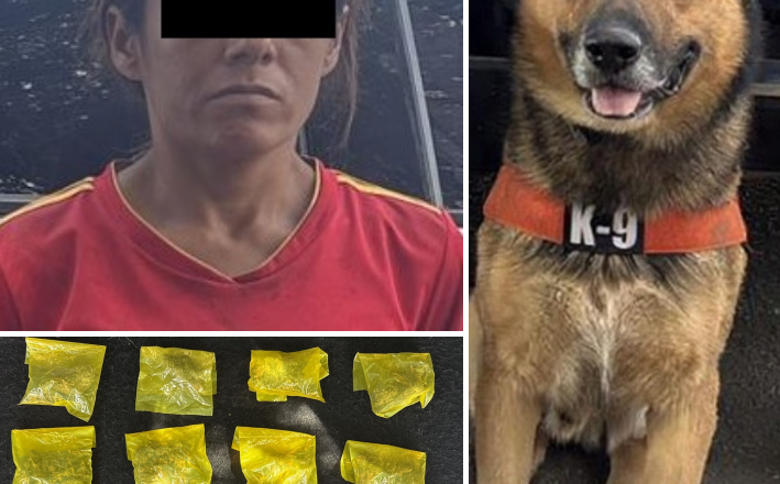 Acciones firmes de la Unidad K-9 de la PESP se traducen en seguridad para Sonora