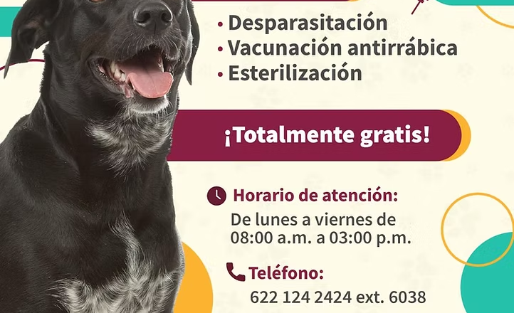 Mantiene Ayuntamiento de Guaymas servicios del Centro de Atención Canino y Felino