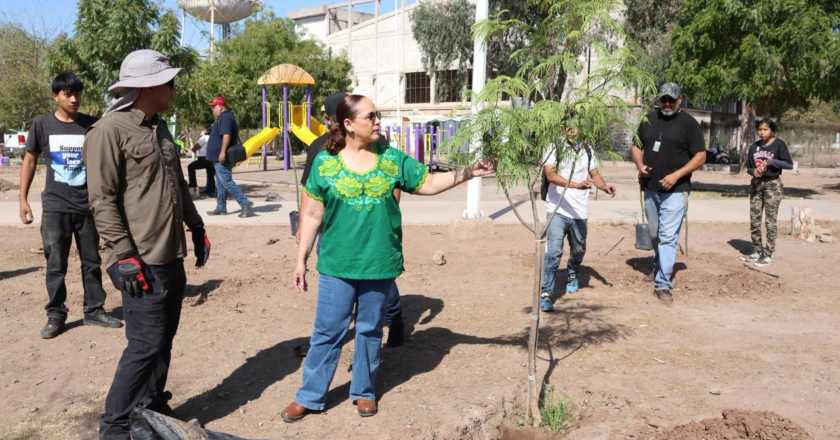 Realizan Jornada Nacional de Tequios por la Tierra y Murales Mundialistas
