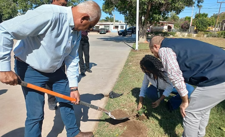 Mantienen programa de reforestación en Empalme