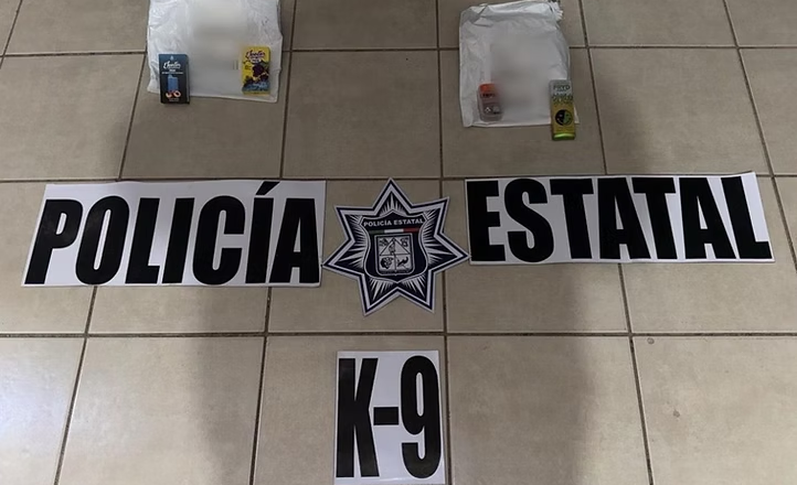 Trabajo especializado de K-9 de la PESP permite detectar envíos ilícitos