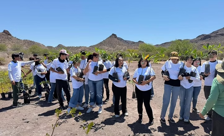 Participan estudiantes de Conalep Sonora en Campaña de Reforestación de Manglares