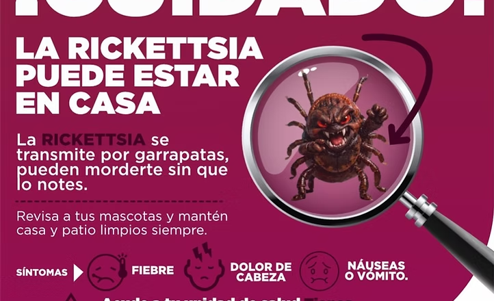 Exhorta Salud Sonora a reforzar limpieza en temporada de calor para prevenir rickettsia