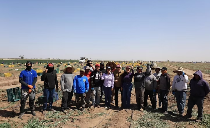 Reconoce Gobierno de Sonora la aportación de las y los trabajadores agrícolas a la economía del estado