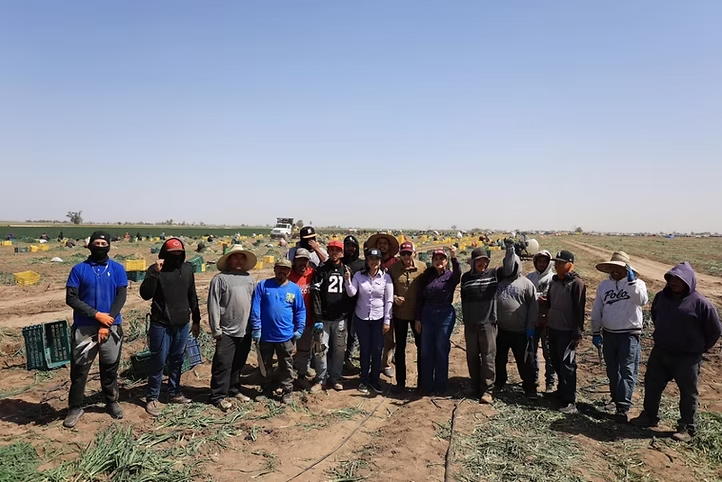 Reconoce Gobierno de Sonora la aportación de las y los trabajadores agrícolas a la economía del estado