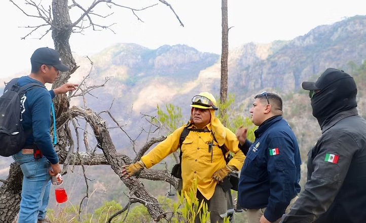 Protección Civil Sonora y autoridades de los tres niveles de gobierno atienden incendio forestal en Álamos