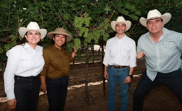 Gobierno de Sonora y Federación fortalecen el potencial agrícola de la entidad con reconversión productiva y generación de empleo