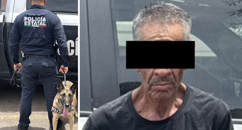 Con precisión y disciplina, PESP K-9 concreta detención en Hermosillo