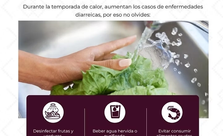 Llama Salud Sonora a prevenir intoxicaciones por alimentos durante temporada de calor