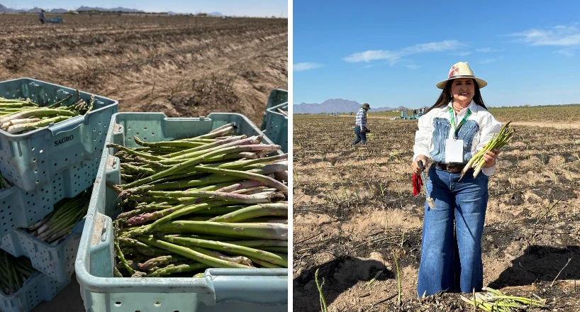 Consolida Gobierno de Sonora liderazgo nacional en producción agroalimentaria