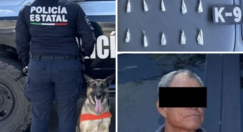 Binomios caninos de la PESP fortalecen acciones contra el narcomenudeo en Hermosillo