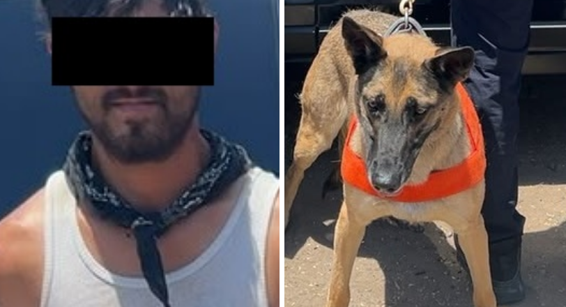 Unidad K-9 de la PESP fortalece acciones de seguridad en Hermosillo