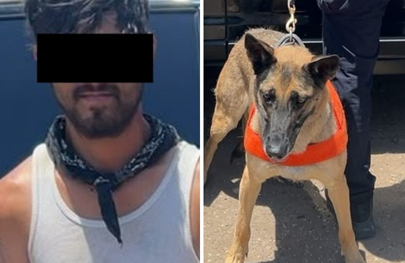 Unidad K-9 de la PESP fortalece acciones de seguridad en Hermosillo