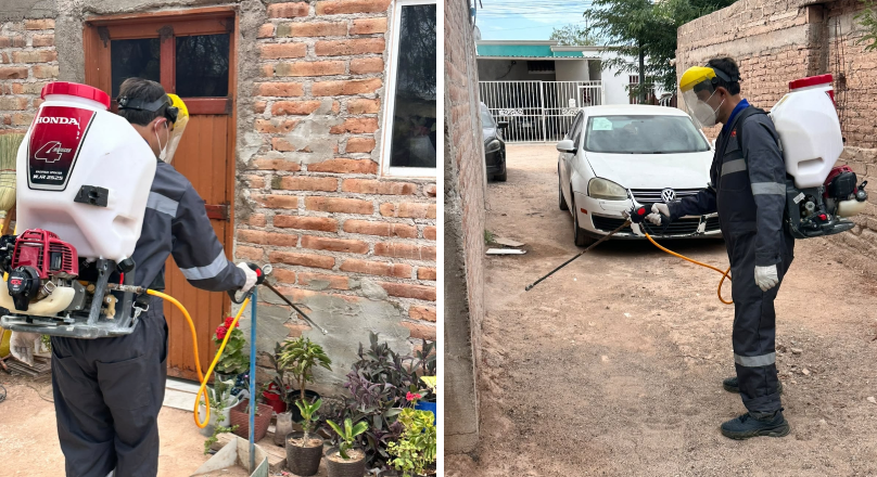Refuerza Salud Sonora acciones contra la rickettsia con más de 2 mil 600 fumigaciones