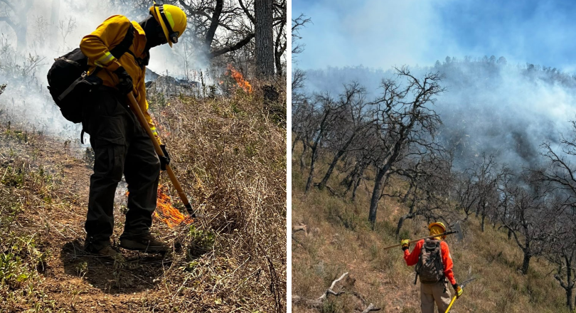 CEPC coordina esfuerzo de más de 100 combatientes forestales en Tarachi