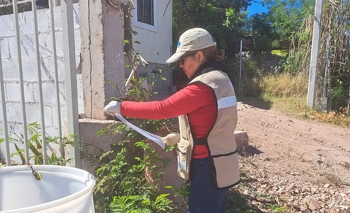 Refuerza Salud Sonora prevención del dengue mediante ovitrampas