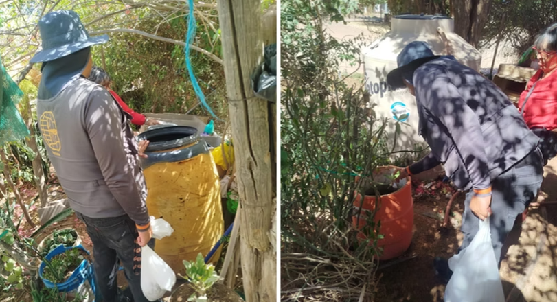 Exhorta Salud Sonora a reforzar la prevención del dengue tras las lluvias