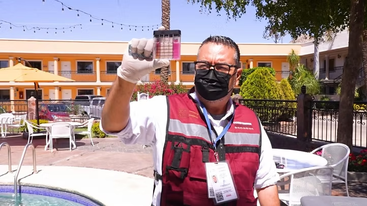 Mantiene Coesprisson vigilancia sanitaria en playas y albercas de Sonora