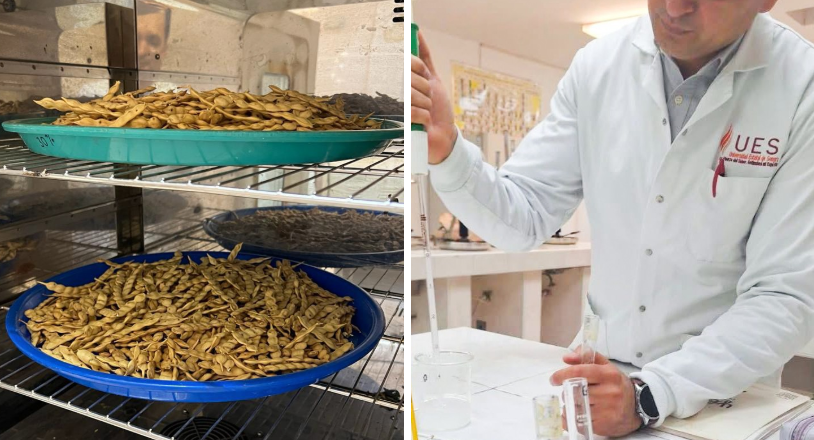 Investigador de la UES busca desarrollar empaques biodegradables antimicrobianos