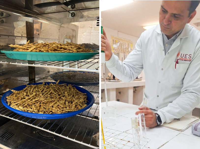 Investigador de la UES busca desarrollar empaques biodegradables antimicrobianos