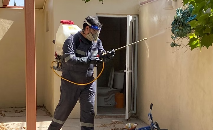Llama Salud Sonora a la población a recordar que las campañas de prevención contra el dengue y la rickettsia son gratuitas