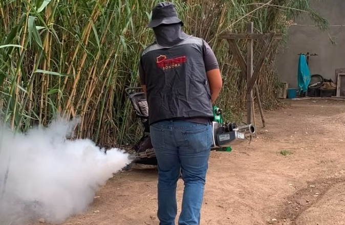 Salud Sonora exhorta a eliminar criaderos de mosquitos tras las lluvias registradas en el estado