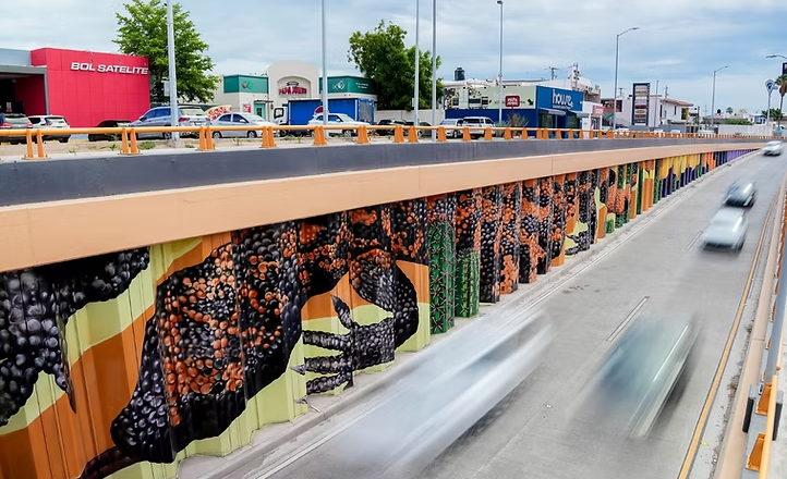 Mural en paso a desnivel de Colosio y Solidaridad es espacio de expresión cultural: Toño Astiazarán
