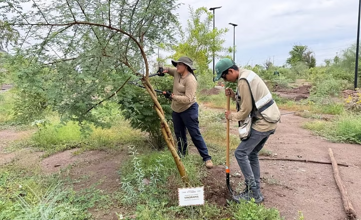 Gobierno de Sonora fortalece la oferta cultural, científica y ambiental del Bosque Urbano La Sauceda