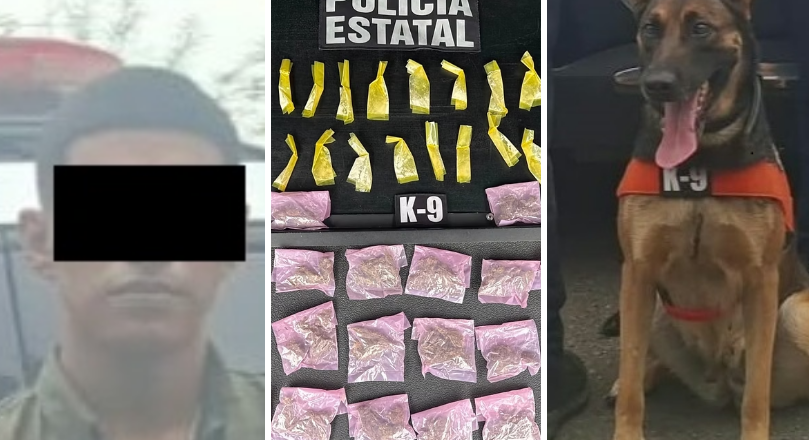 Unidad K9 fortalece la labor operativa con resultados positivos