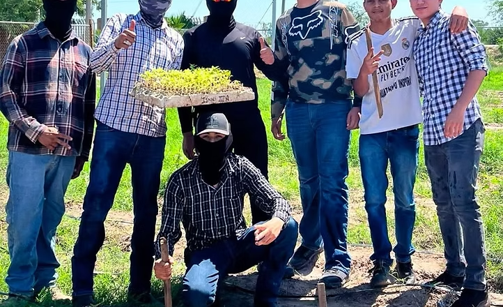 Alumnado de la UTEtchojoa desarrolla proyecto de cosecha de flor tradicional de Día de Muertos