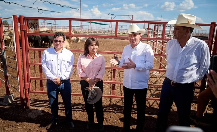 Sonora reactiva exportación de ganado a EU; gestiones de Sheinbaum y Durazo abren la frontera