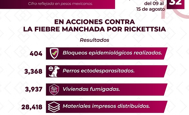 Alcanza Salud Sonora casi 4 mil viviendas fumigadas en la entidad para proteger a familias contra la rickettsia