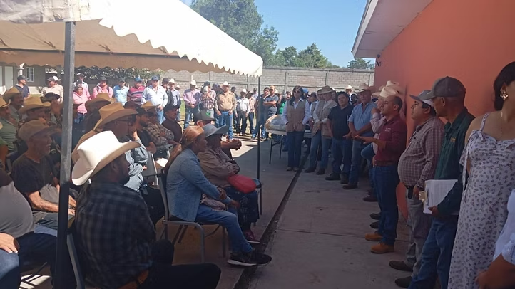 Gobierno de Sonora y Senasica intensifican acciones sanitarias para proteger al sector ganadero