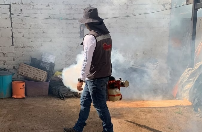 Refuerza Salud Sonora fumigación contra el dengue en viviendas y 95 mil hectáreas