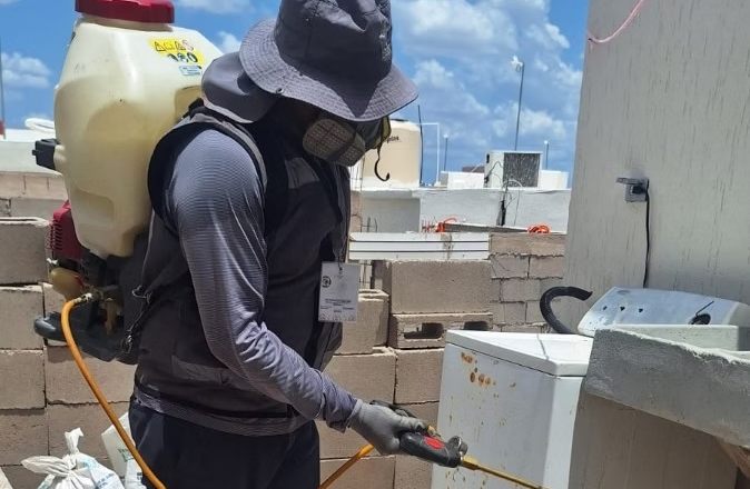 Salud Sonora intensifica acciones contra la rickettsia con fumigación de viviendas