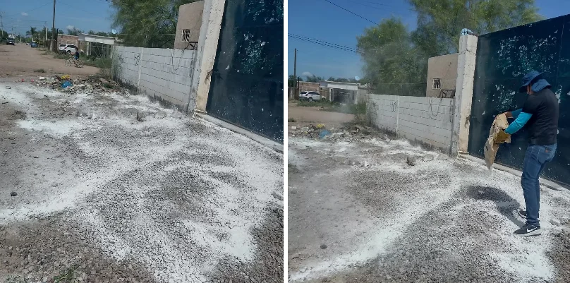 Atiende Ecología Municipal reporte de vecinos de Los Palmares